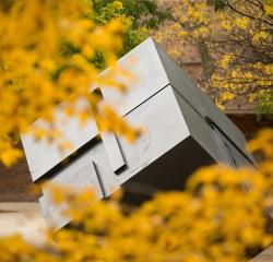 The Cube viewed through golden autumn leaves