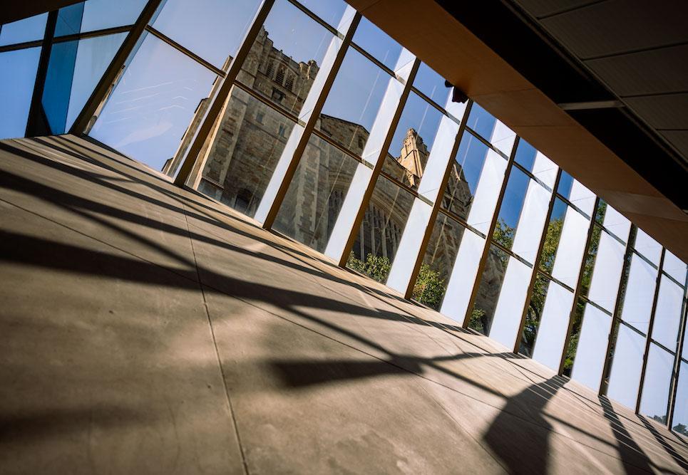 The William W. Cook Law Library as seen through the skylights in the lower levels of the underground library.