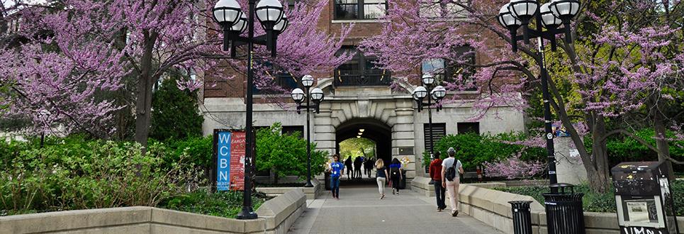 U-M campus in the spring