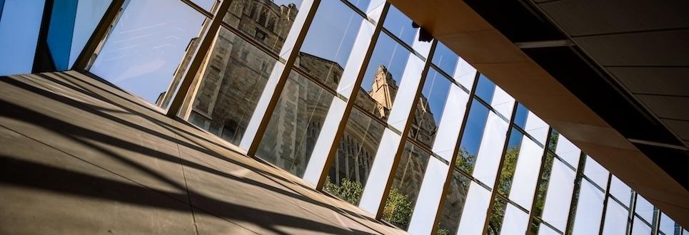 The William W. Cook Law Library as seen through the skylights in the lower levels of the underground library.